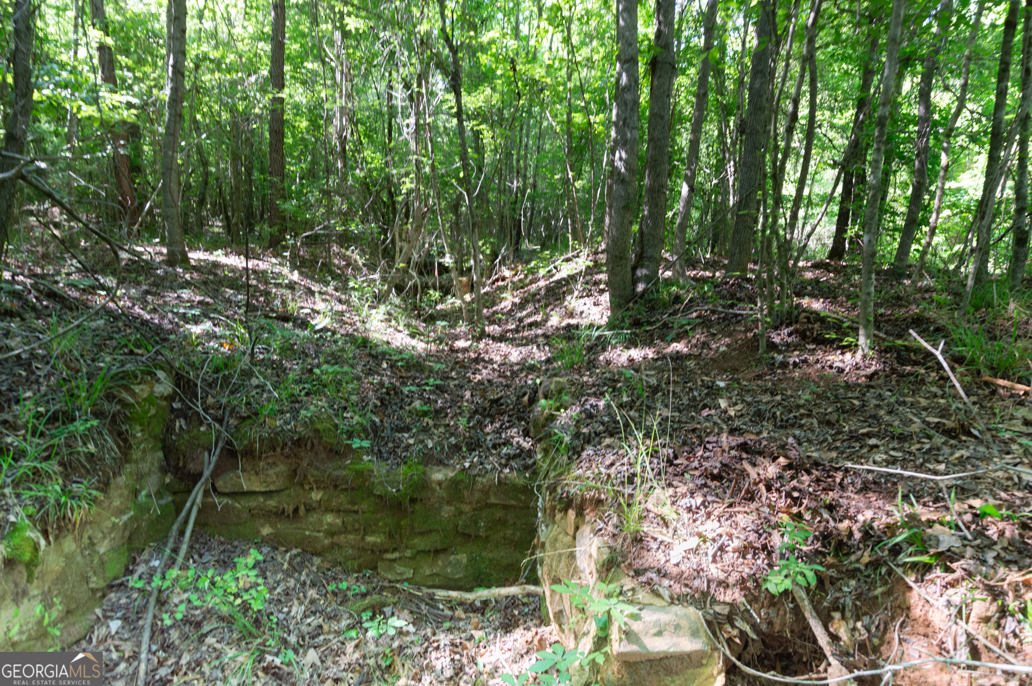 0 Apt-to-miss Road Property Photo 25