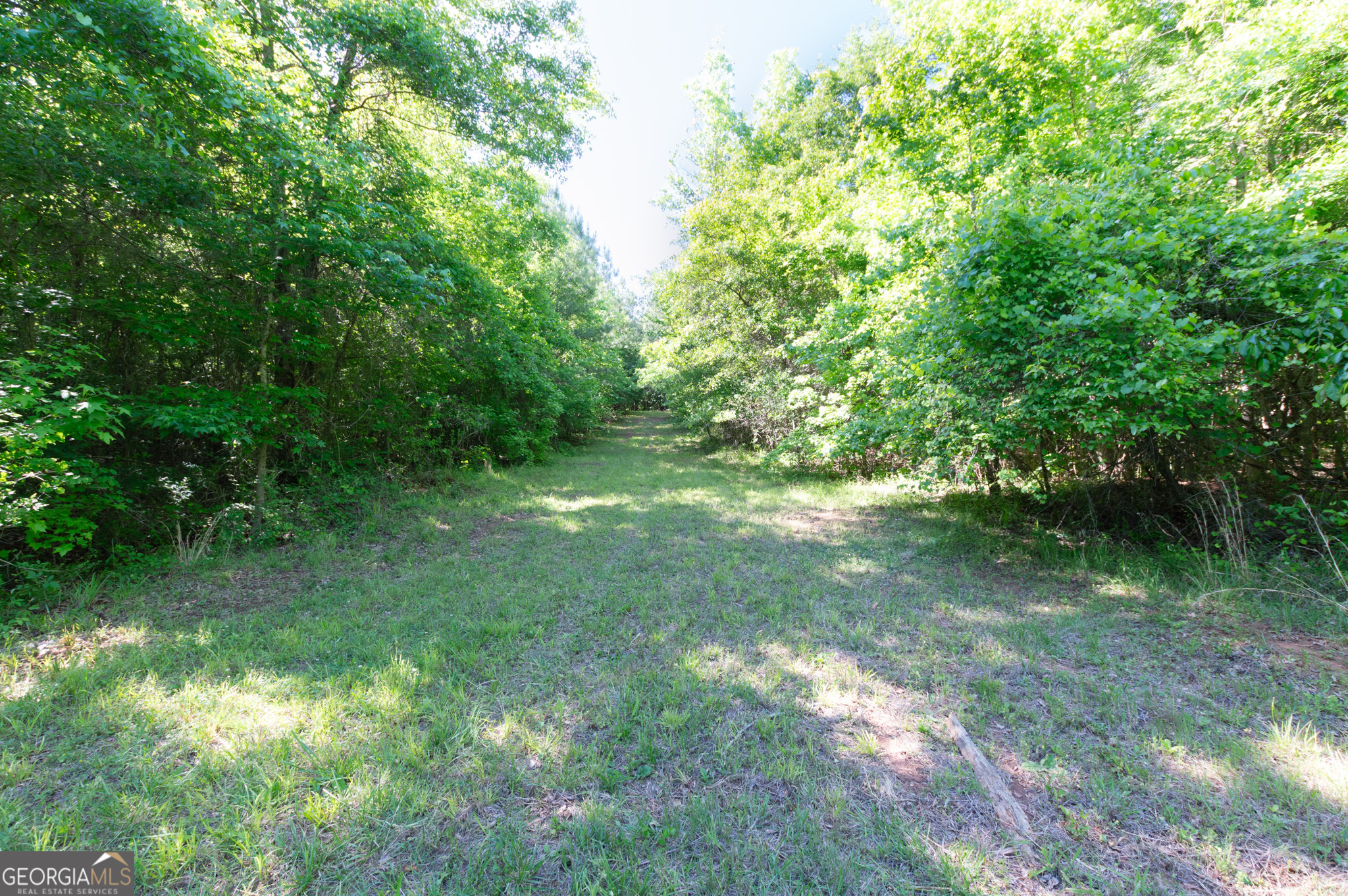 0 Apt-to-miss Road Property Photo 26