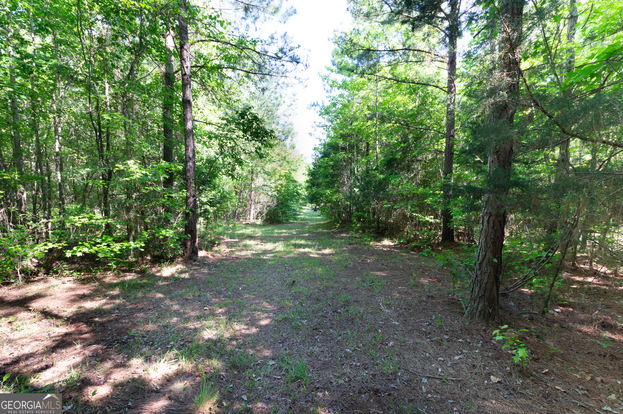 0 Apt-to-miss Road Property Photo 28