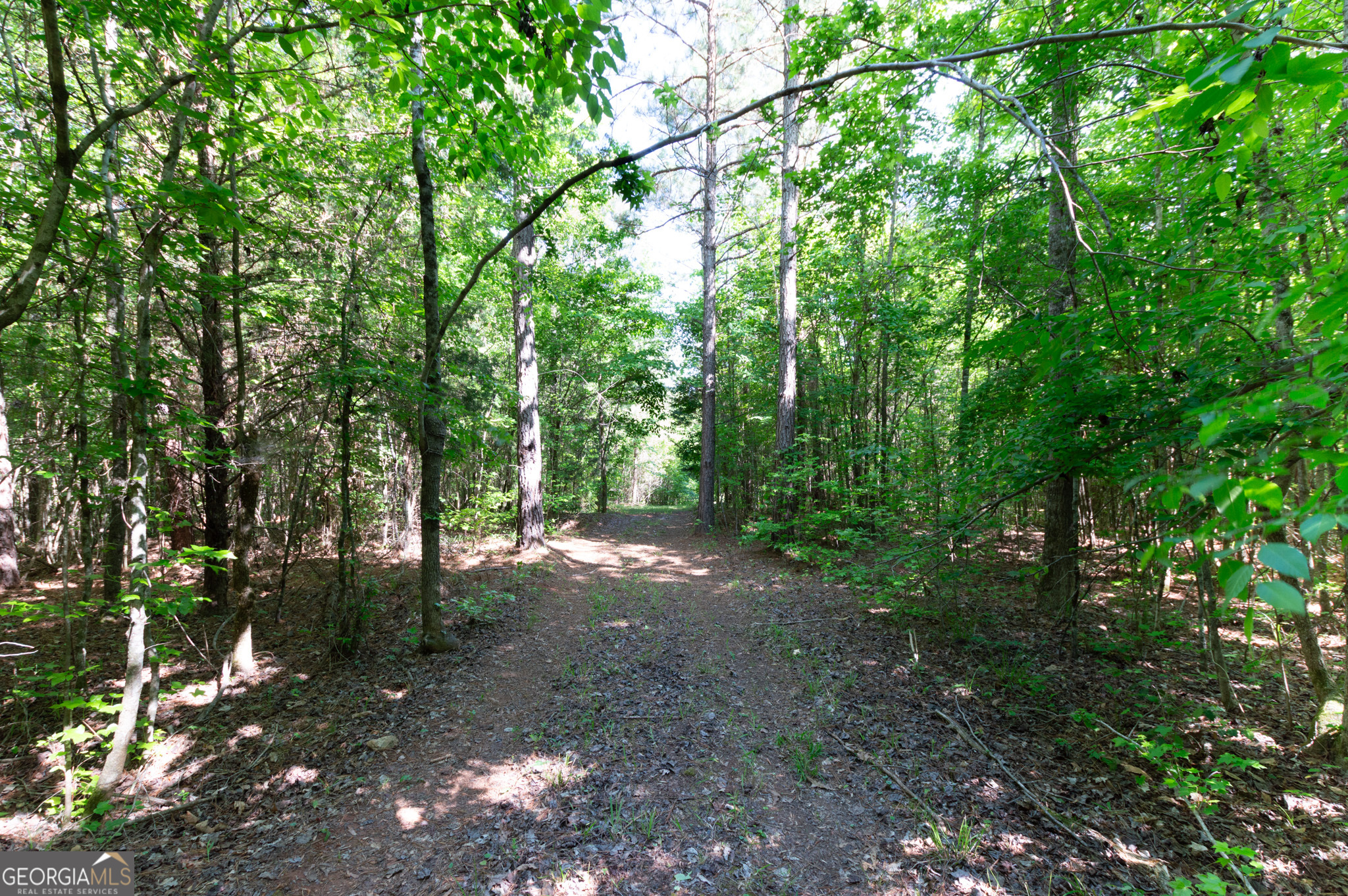 0 Apt-to-miss Road Property Photo 29