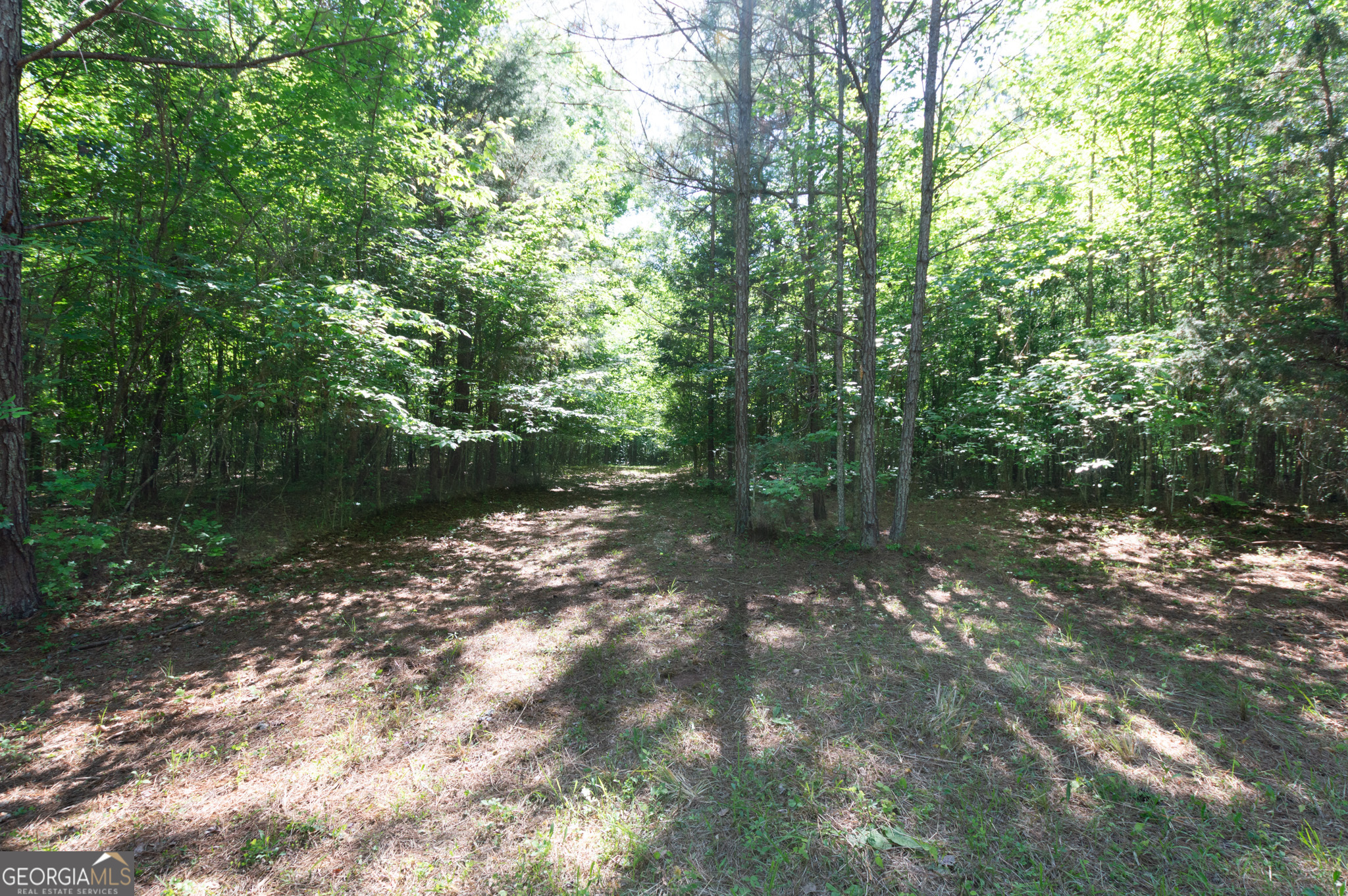 0 Apt-to-miss Road Property Photo 31