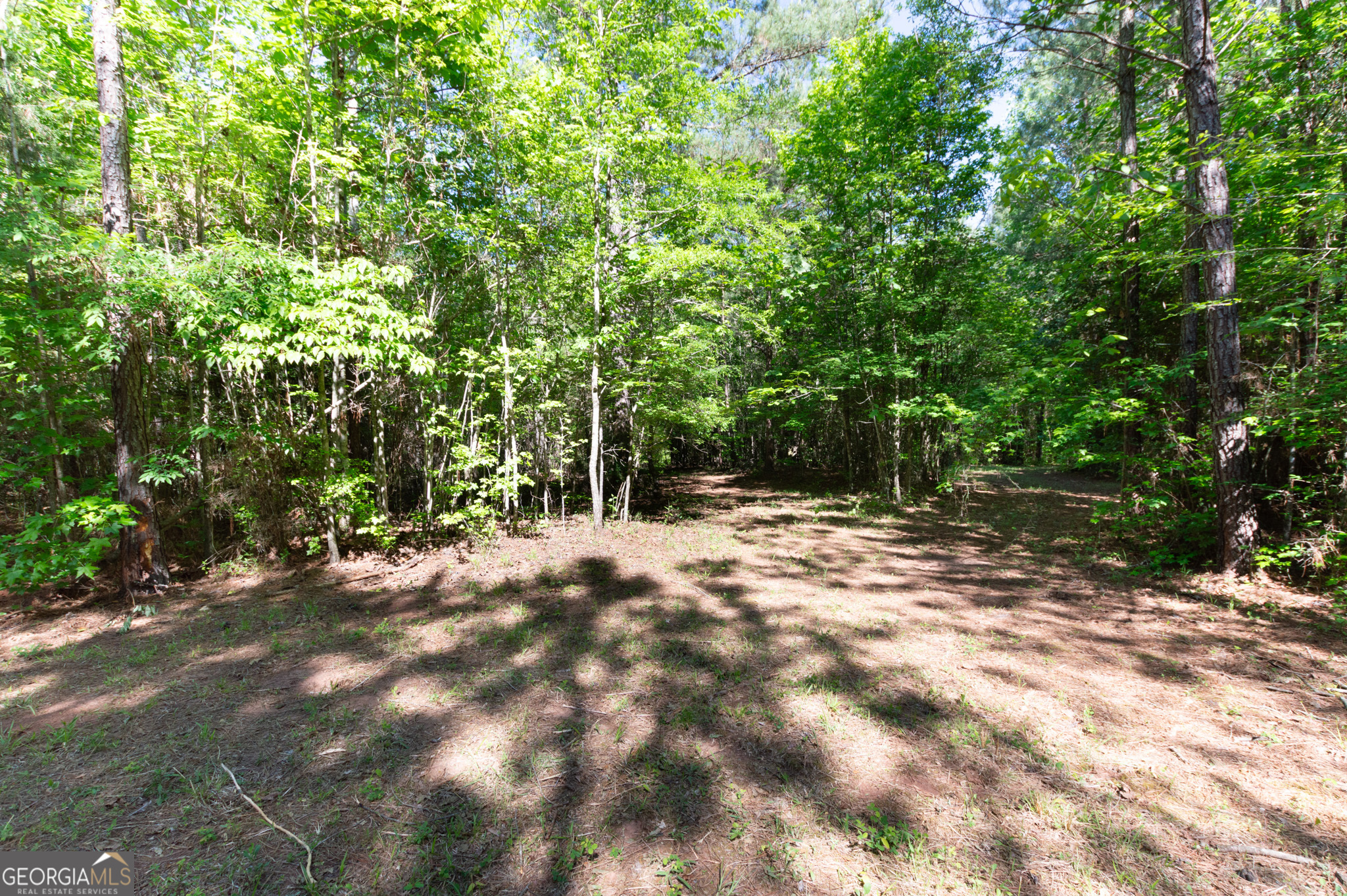 0 Apt-to-miss Road Property Photo 32
