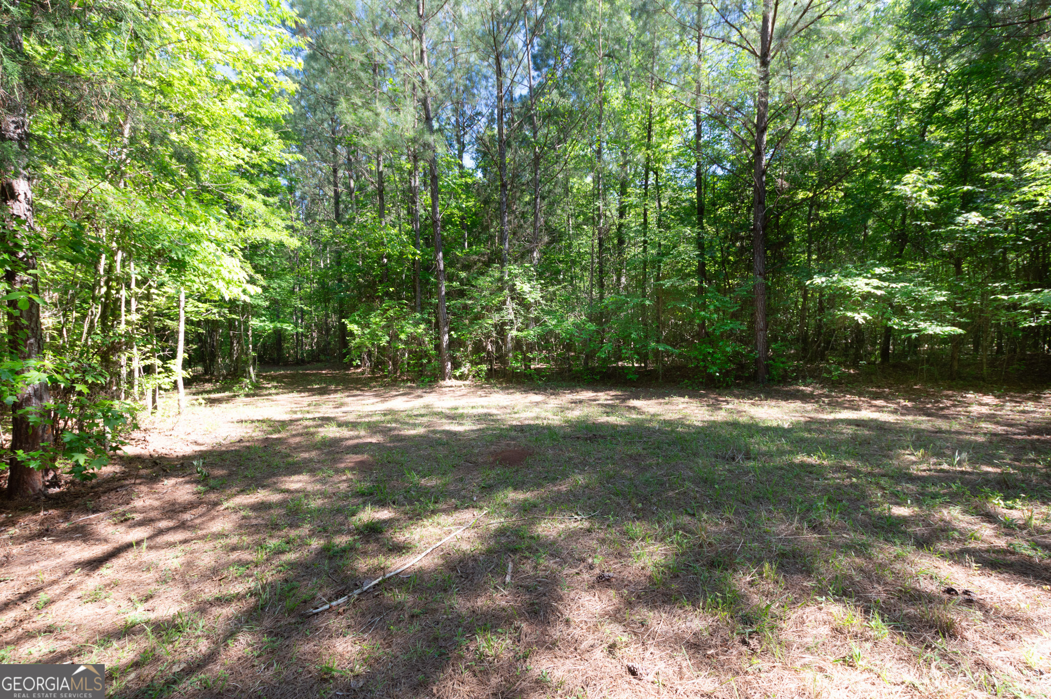 0 Apt-to-miss Road Property Photo 33
