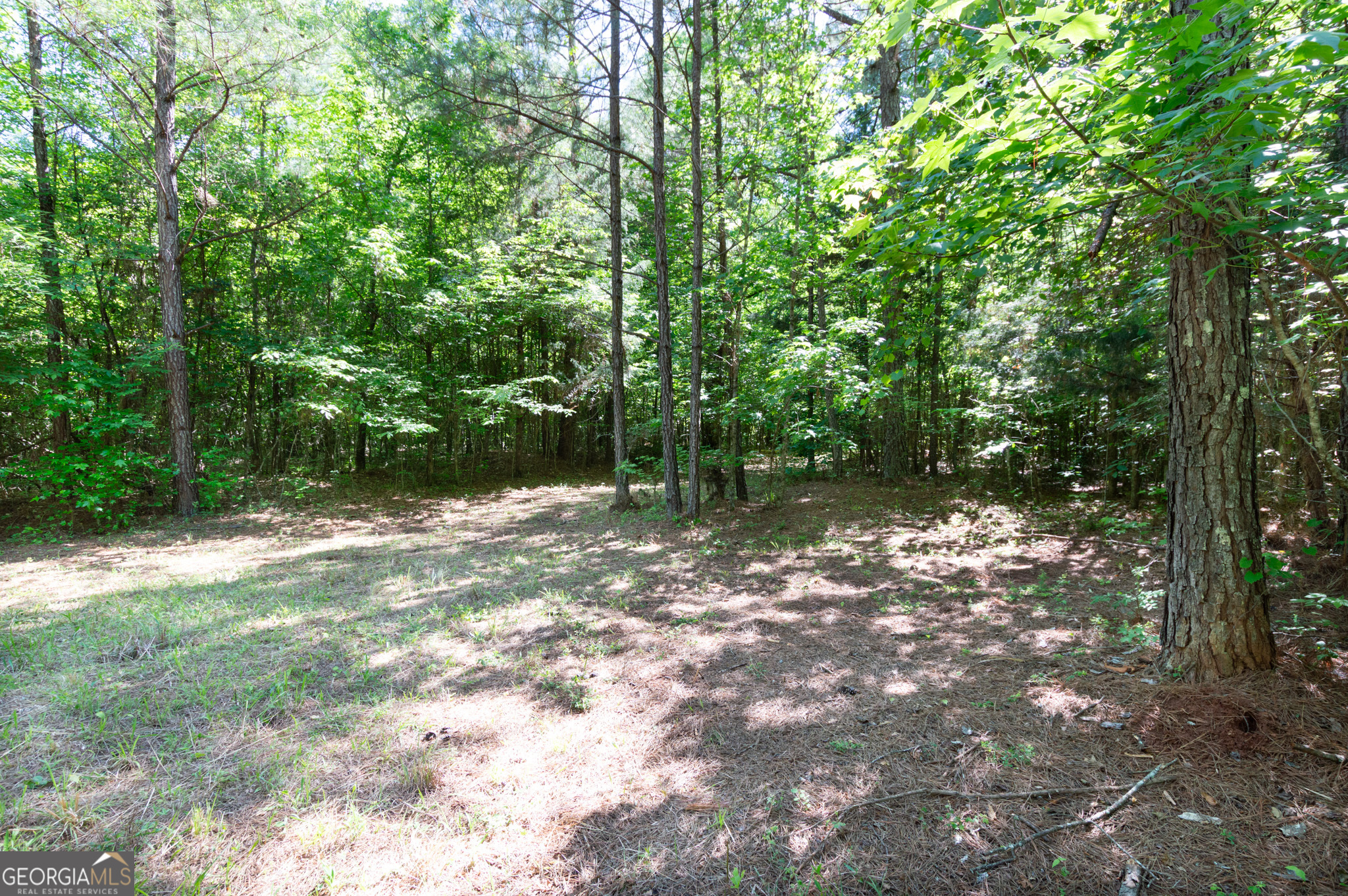 0 Apt-to-miss Road Property Photo 34