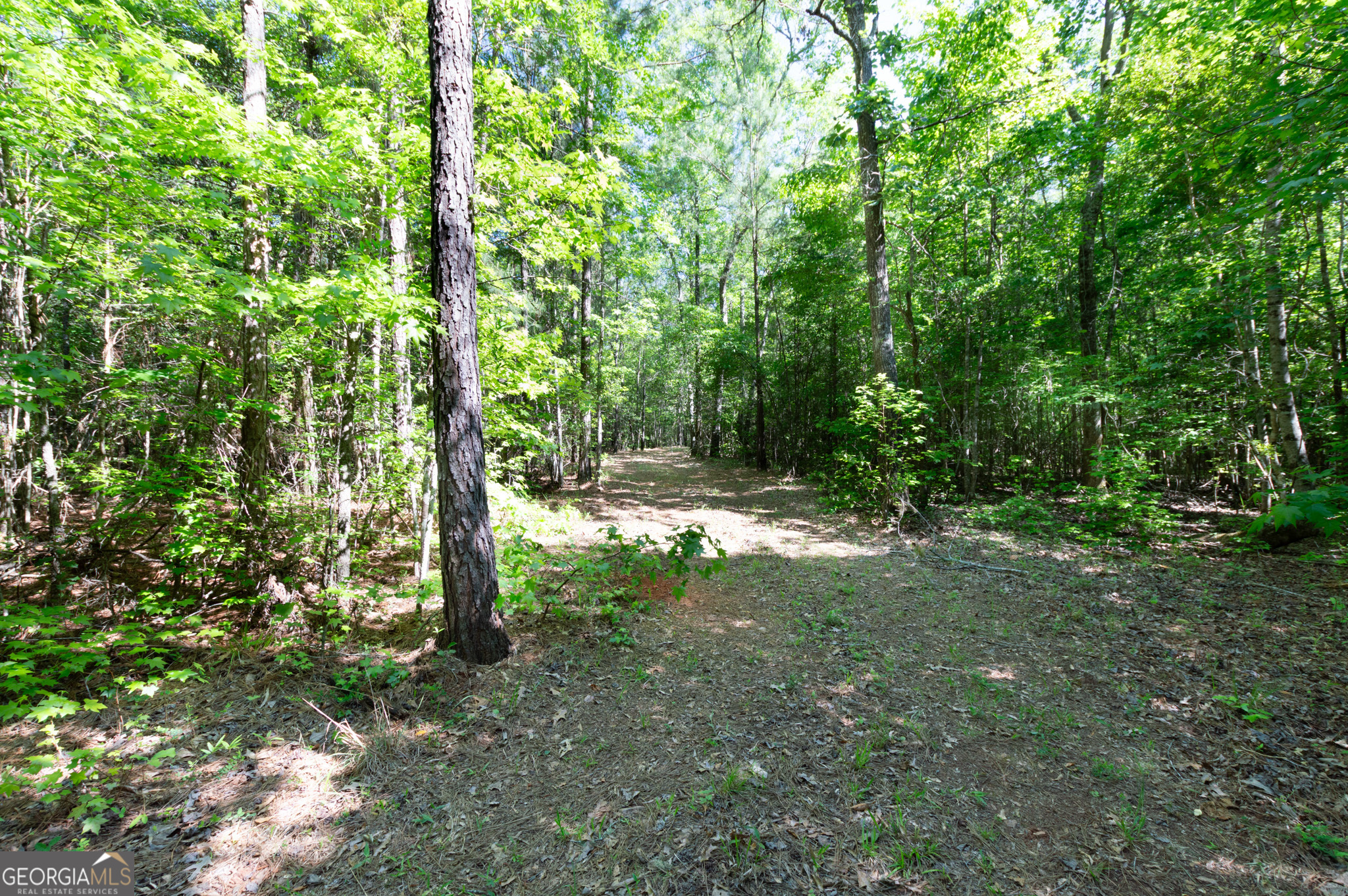 0 Apt-to-miss Road Property Photo 35
