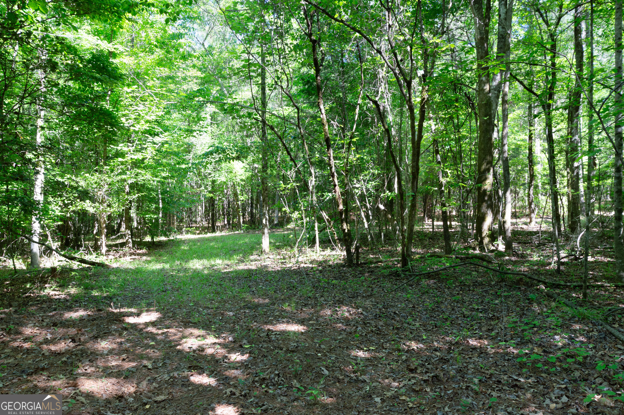 0 Apt-to-miss Road Property Photo 37