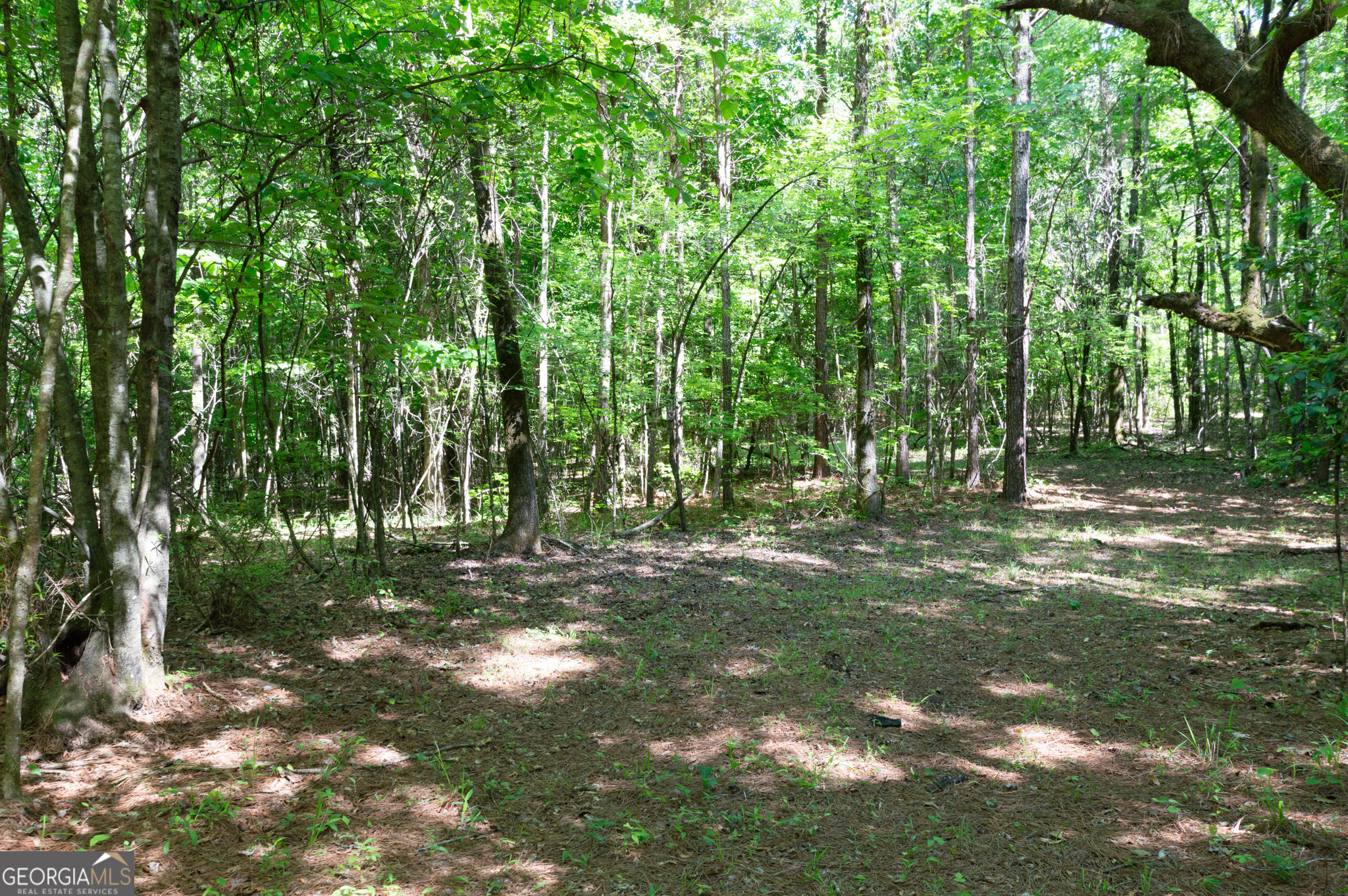 0 Apt-to-miss Road Property Photo 38