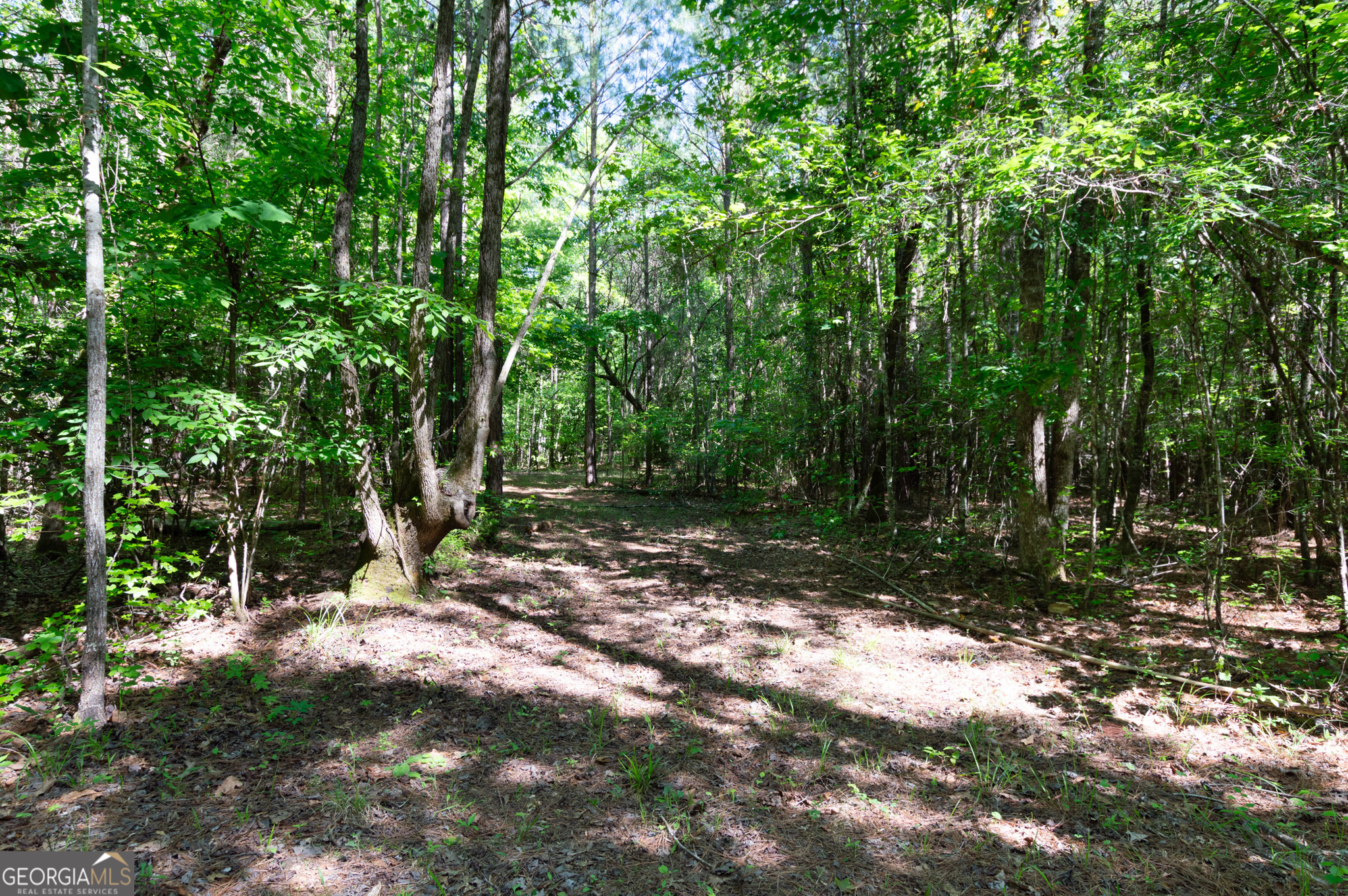0 Apt-to-miss Road Property Photo 39