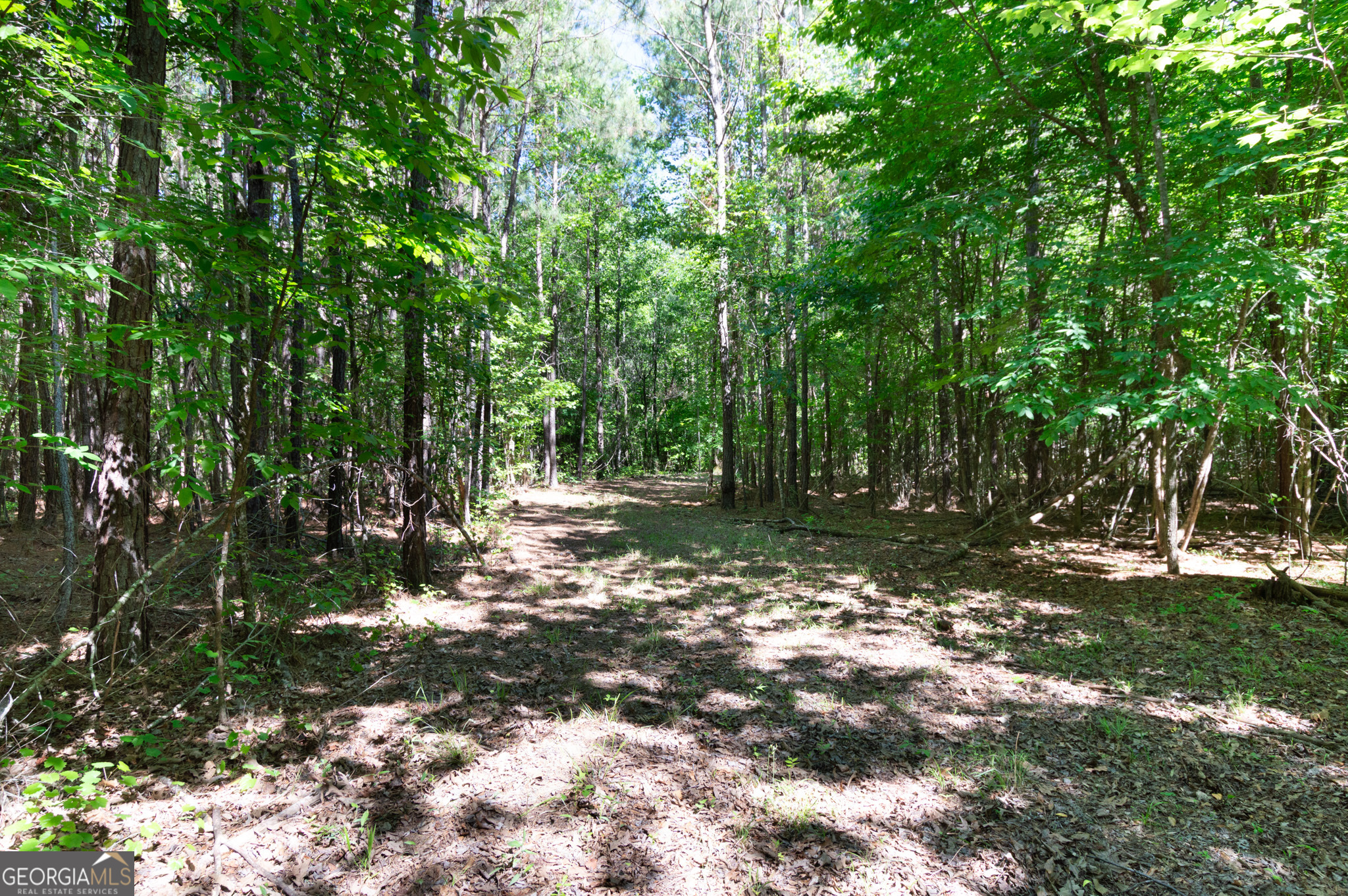 0 Apt-to-miss Road Property Photo 40