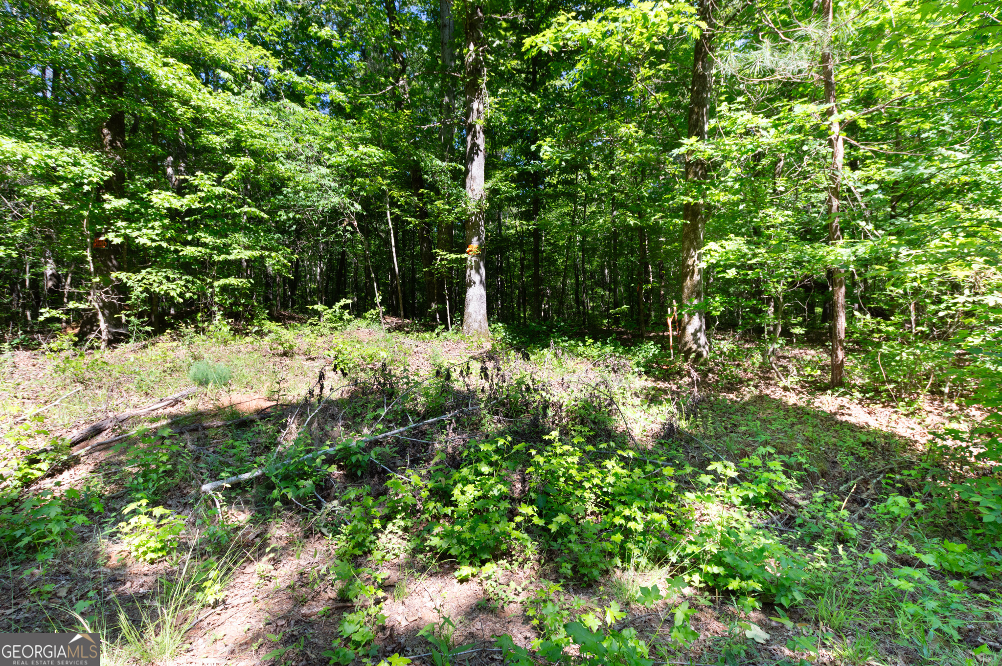 0 Apt-to-miss Road Property Photo 44