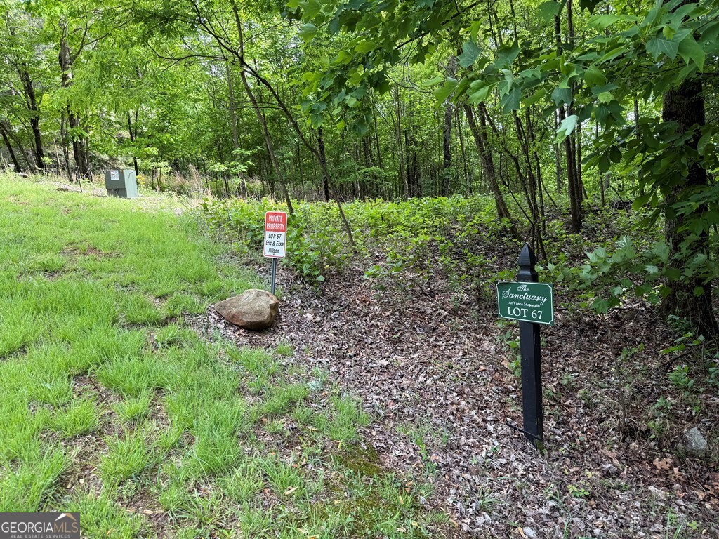 Lot 67 The Sanctuary At Vance Mountain Property Photo 11