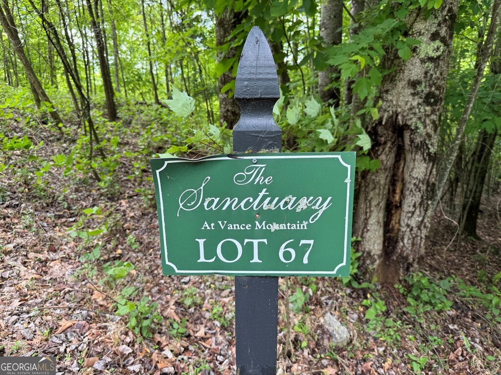 Lot 67 The Sanctuary At Vance Mountain Property Photo 12