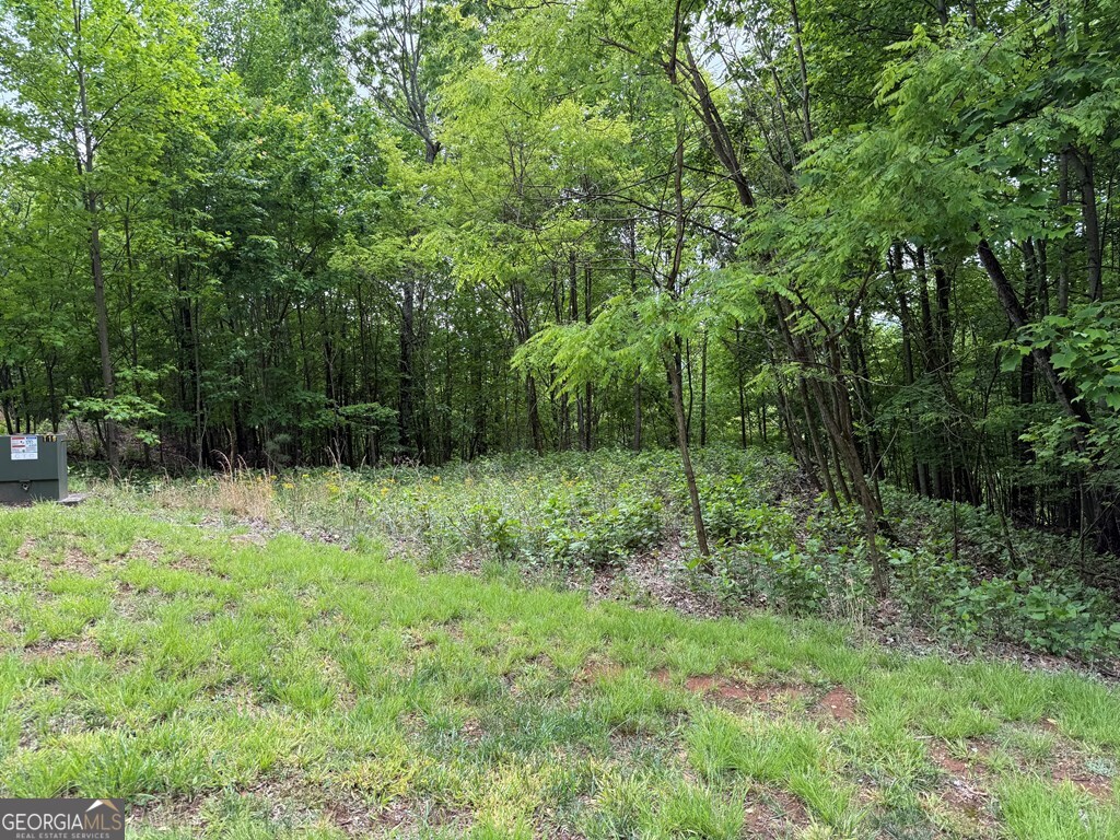 Lot 67 The Sanctuary At Vance Mountain Property Photo 13