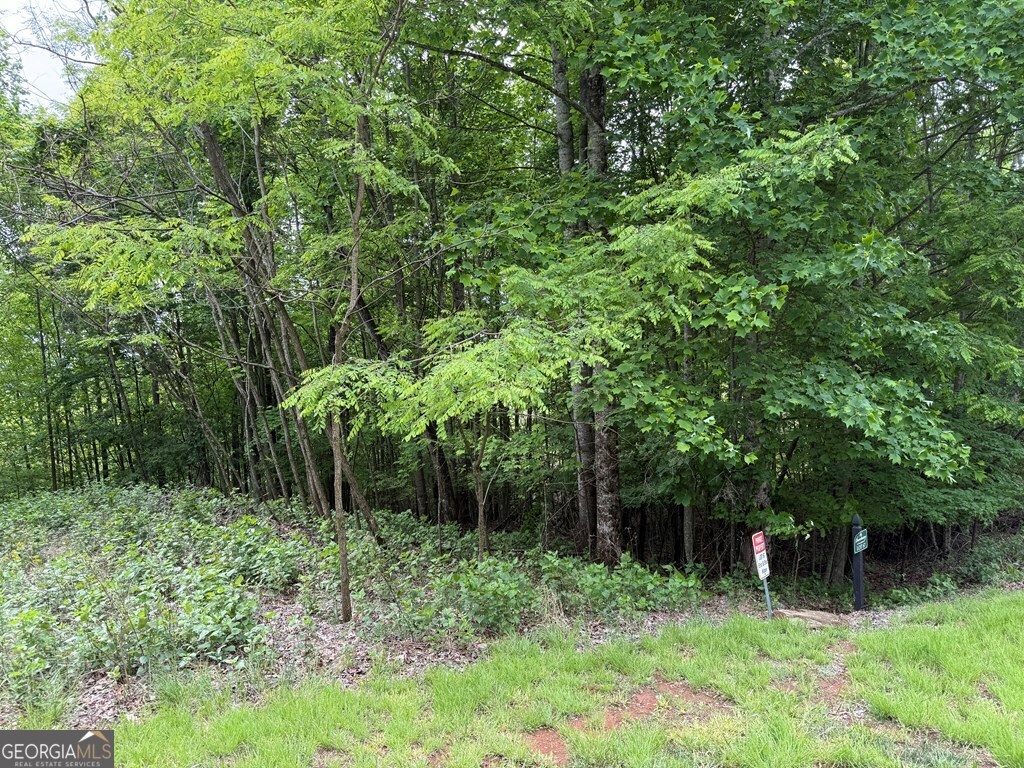 Lot 67 The Sanctuary At Vance Mountain Property Photo 14