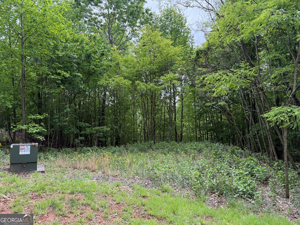 Lot 67 The Sanctuary At Vance Mountain Property Photo 15