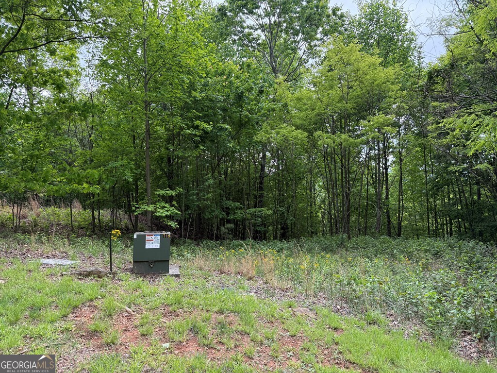 Lot 67 The Sanctuary At Vance Mountain Property Photo 16