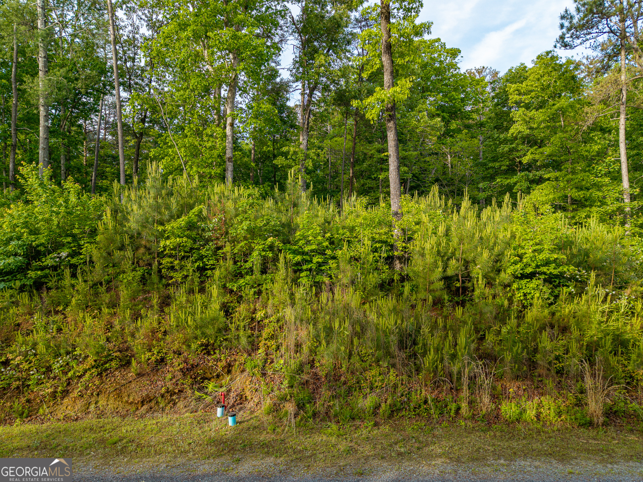Lot 45 Hilton Drive Property Photo 2