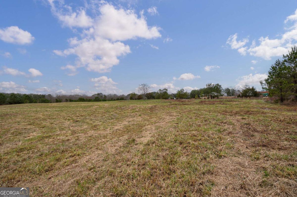 TRACT 3 High Shoals Road Property Photo 1
