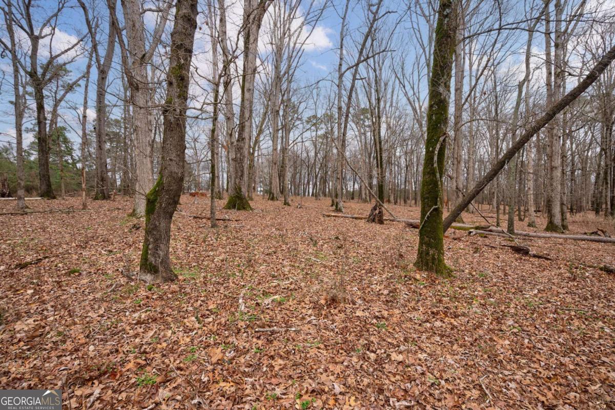 Tract 3 High Shoals Road Property Photo 3
