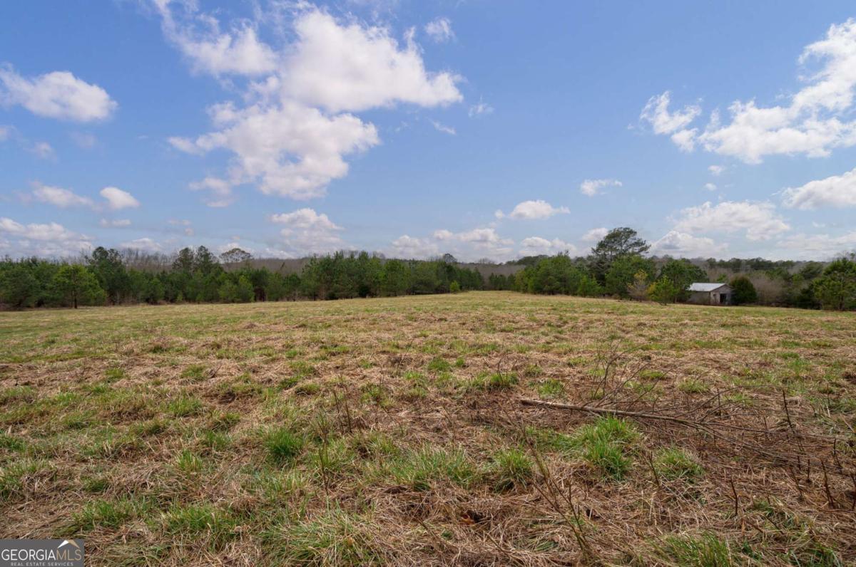 Tract 3 High Shoals Road Property Photo 4