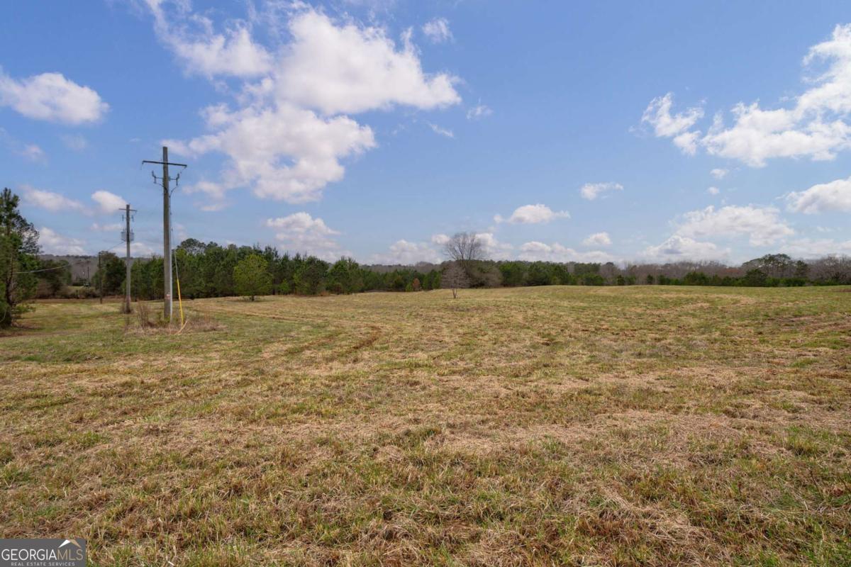 Tract 3 High Shoals Road Property Photo 5