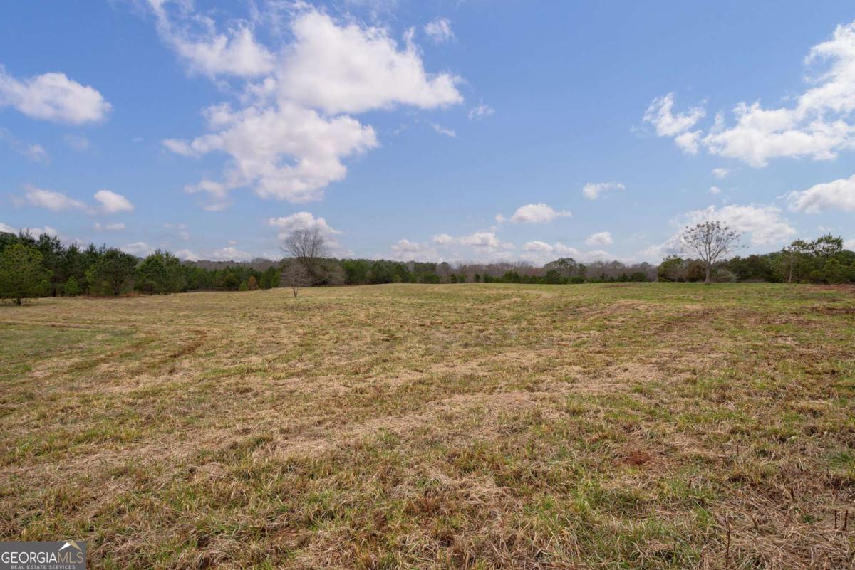 Tract 3 High Shoals Road Property Photo 6