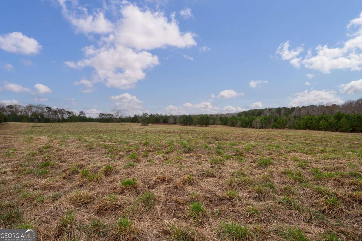Tract 3 High Shoals Road Property Photo 8