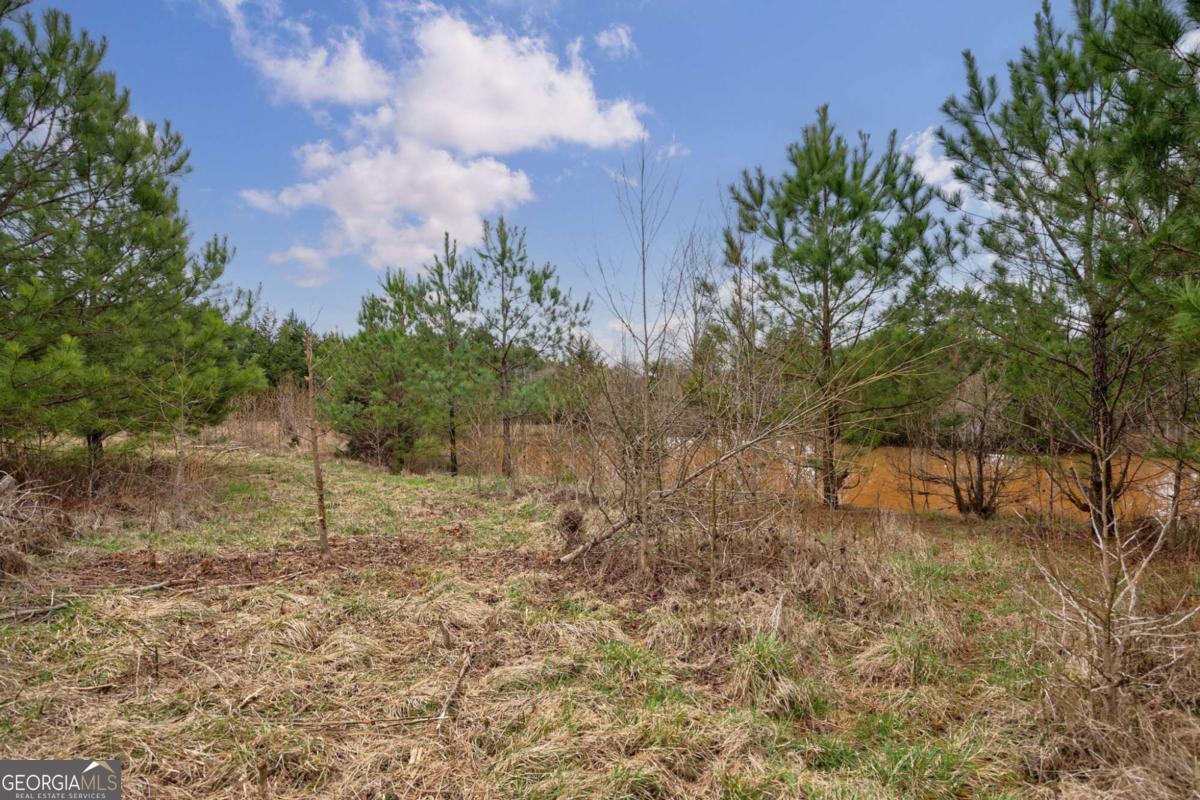 Tract 3 High Shoals Road Property Photo 16
