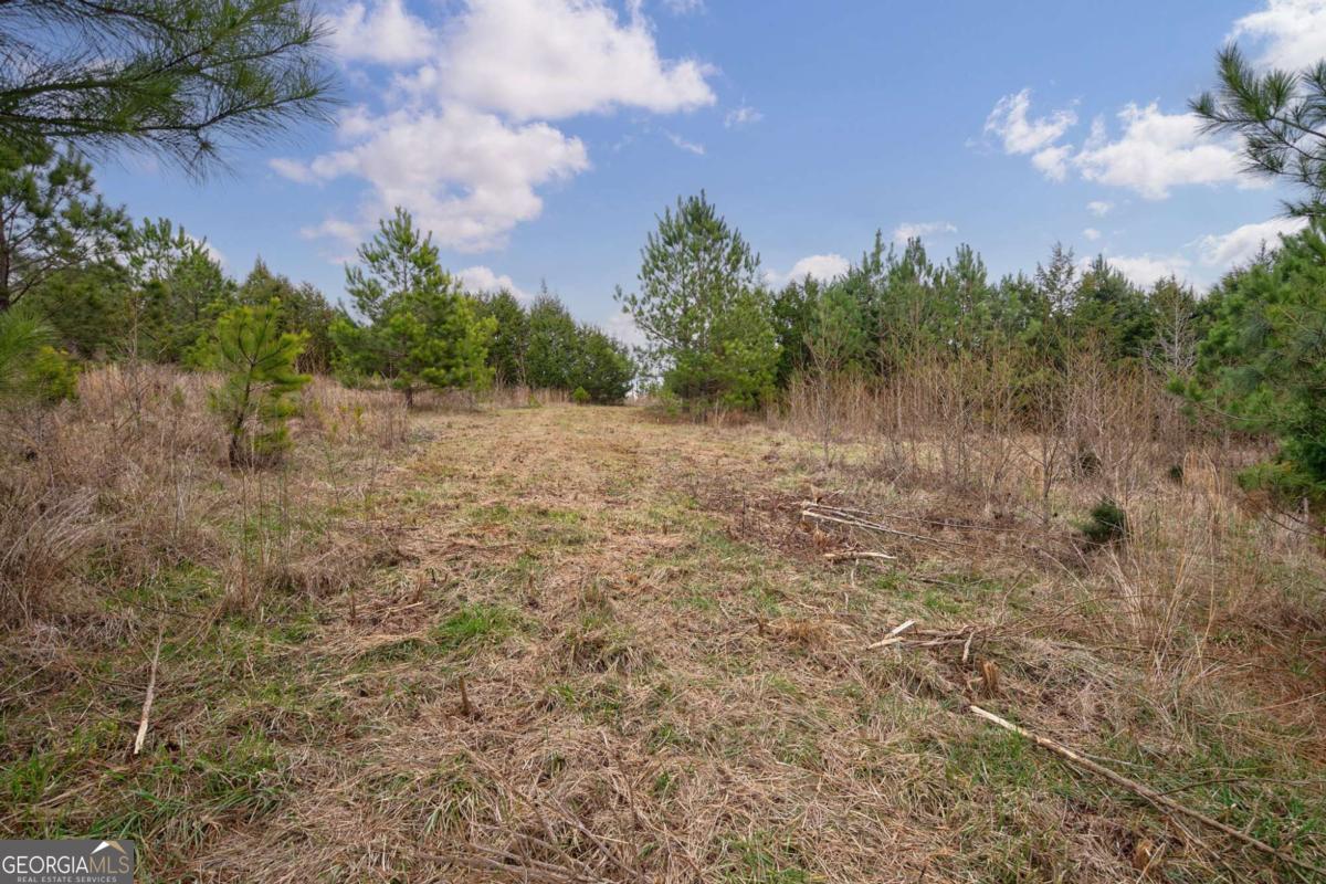 Tract 3 High Shoals Road Property Photo 17