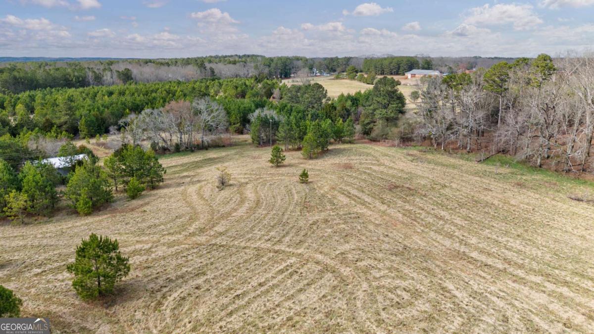 Tract 3 High Shoals Road Property Photo 29