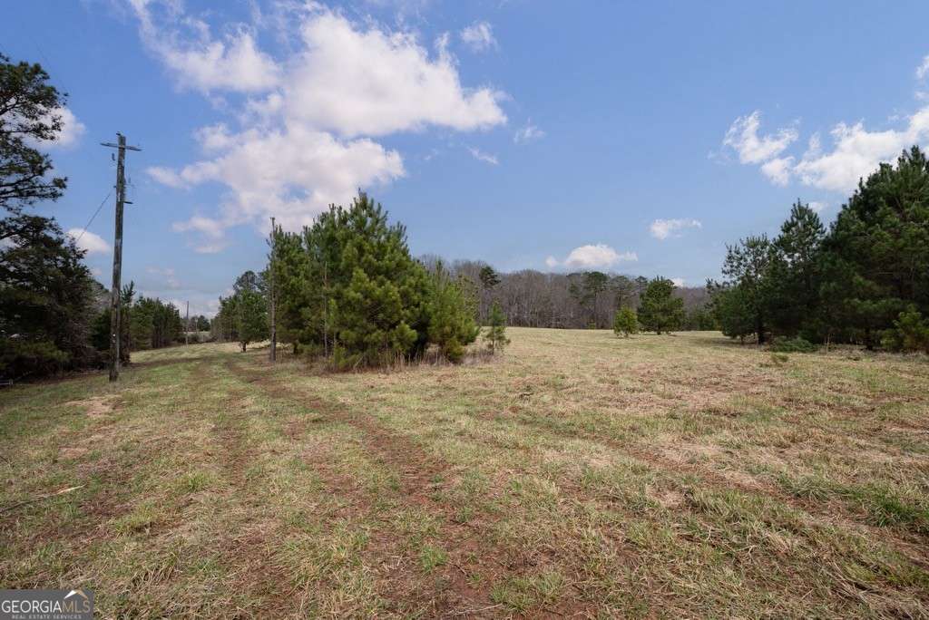 Tract 1-a High Shoals Road Property Photo 7