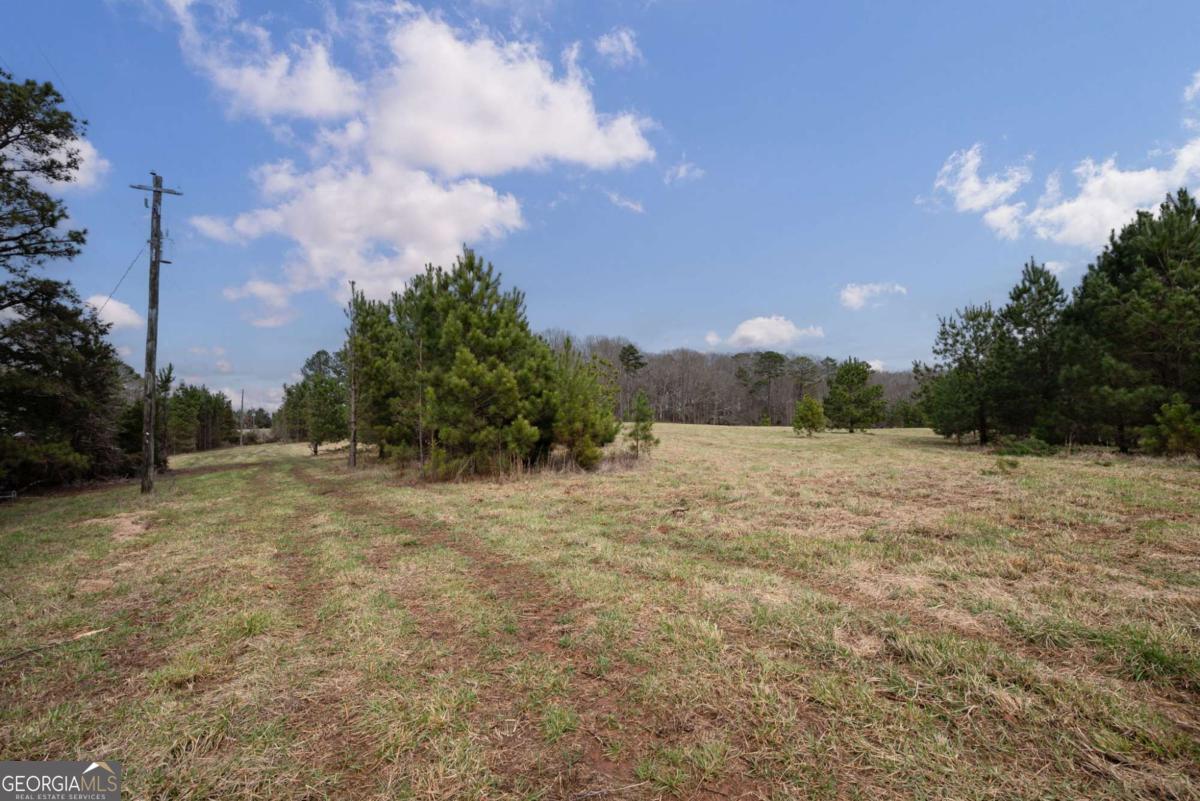 Tract 1-a High Shoals Road Property Photo 8