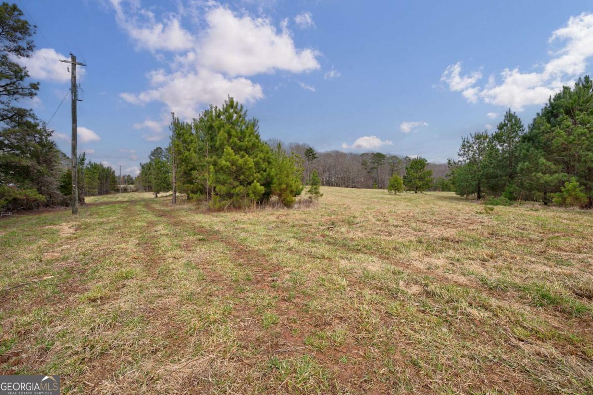 Tract 1-a High Shoals Road Property Photo 9