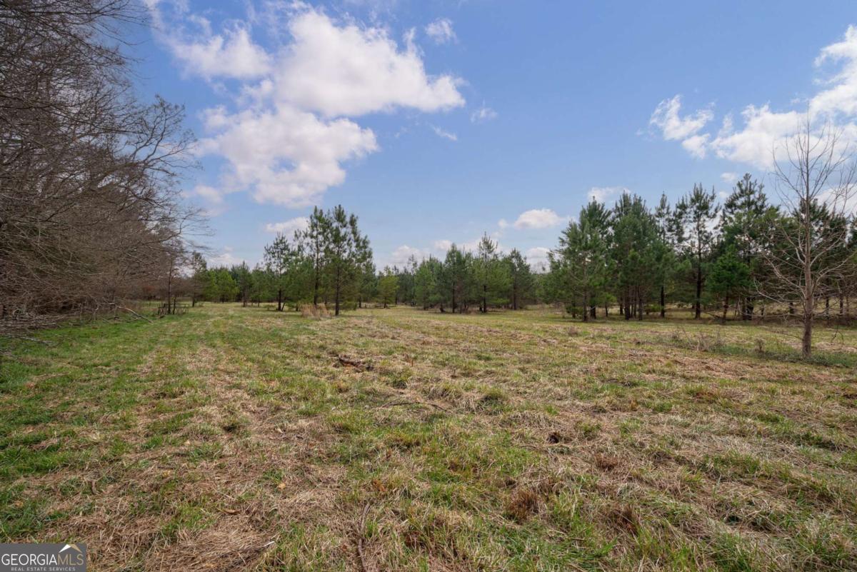 Tract 1-a High Shoals Road Property Photo 13