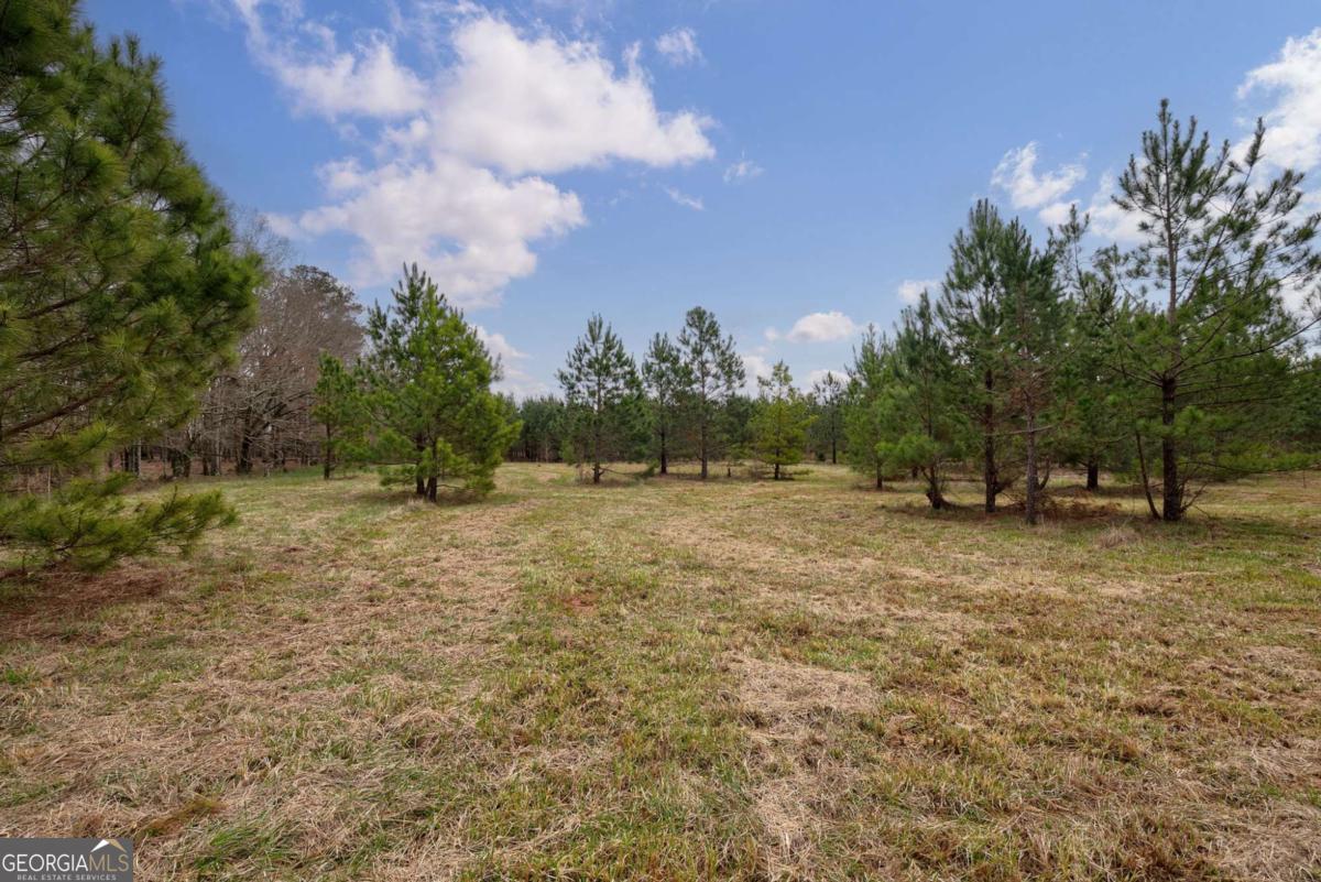 Tract 1-a High Shoals Road Property Photo 14