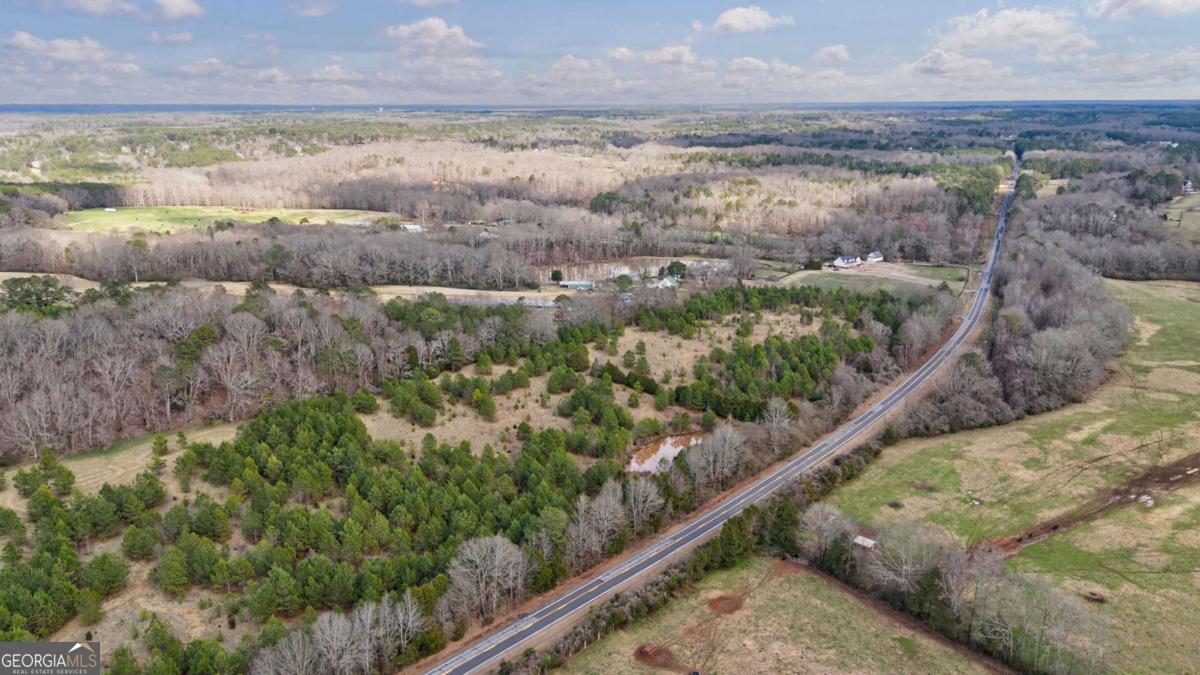 Tract 1-a High Shoals Road Property Photo 17