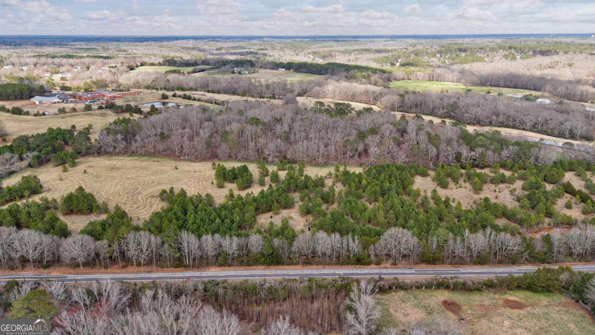 Tract 1-a High Shoals Road Property Photo 18
