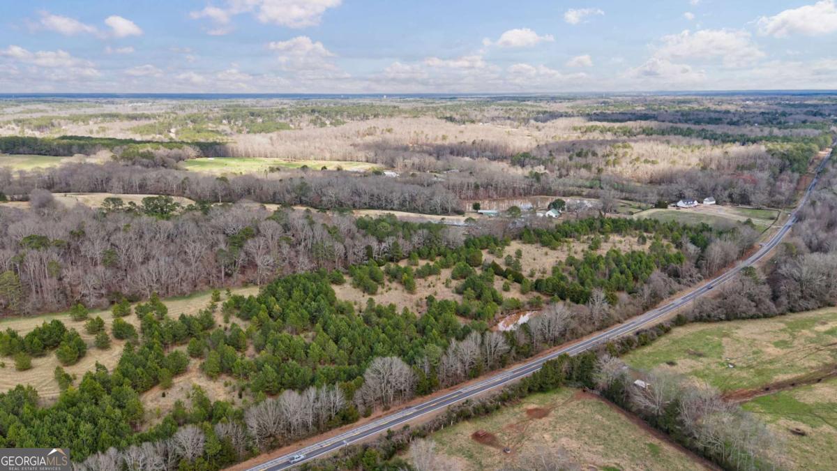 Tract 1-a High Shoals Road Property Photo 19