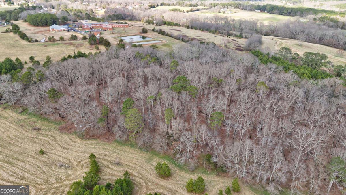 Tract 1-a High Shoals Road Property Photo 20