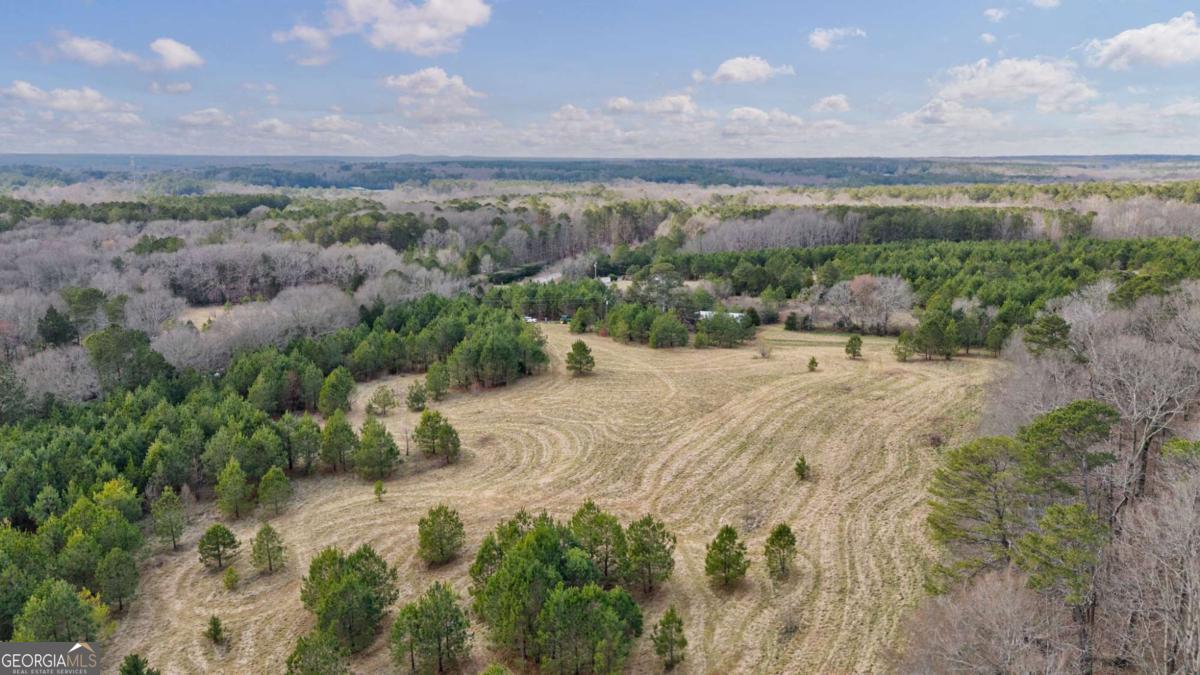 Tract 1-a High Shoals Road Property Photo 22