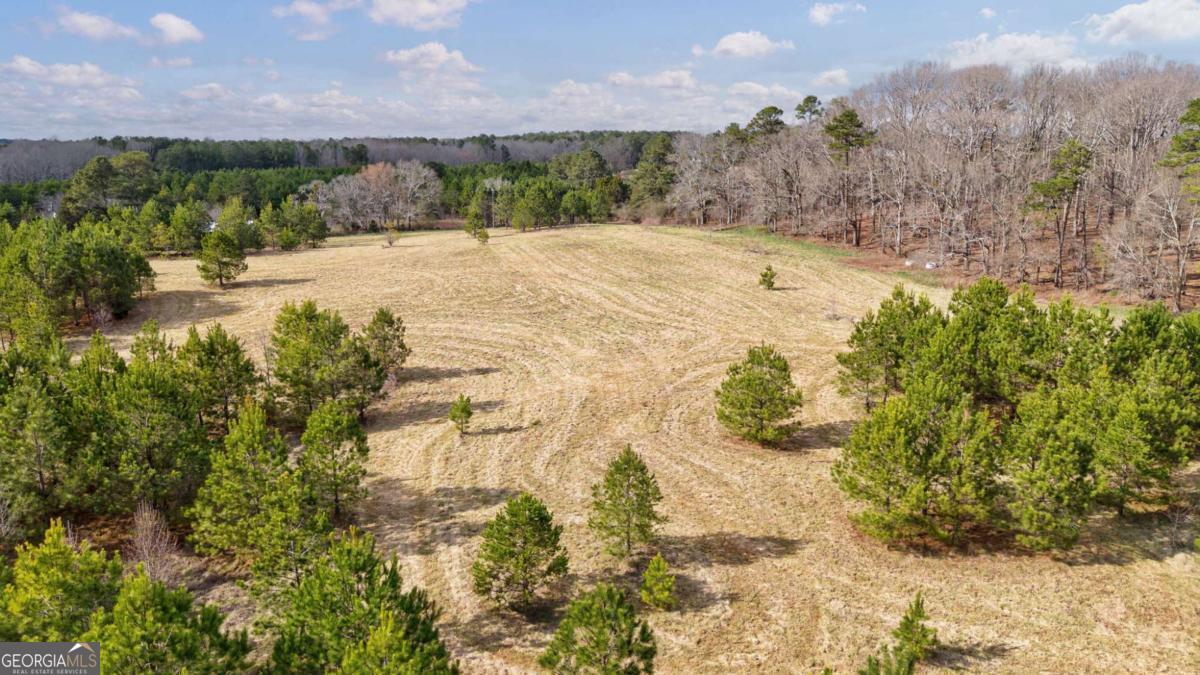 Tract 1-a High Shoals Road Property Photo 23