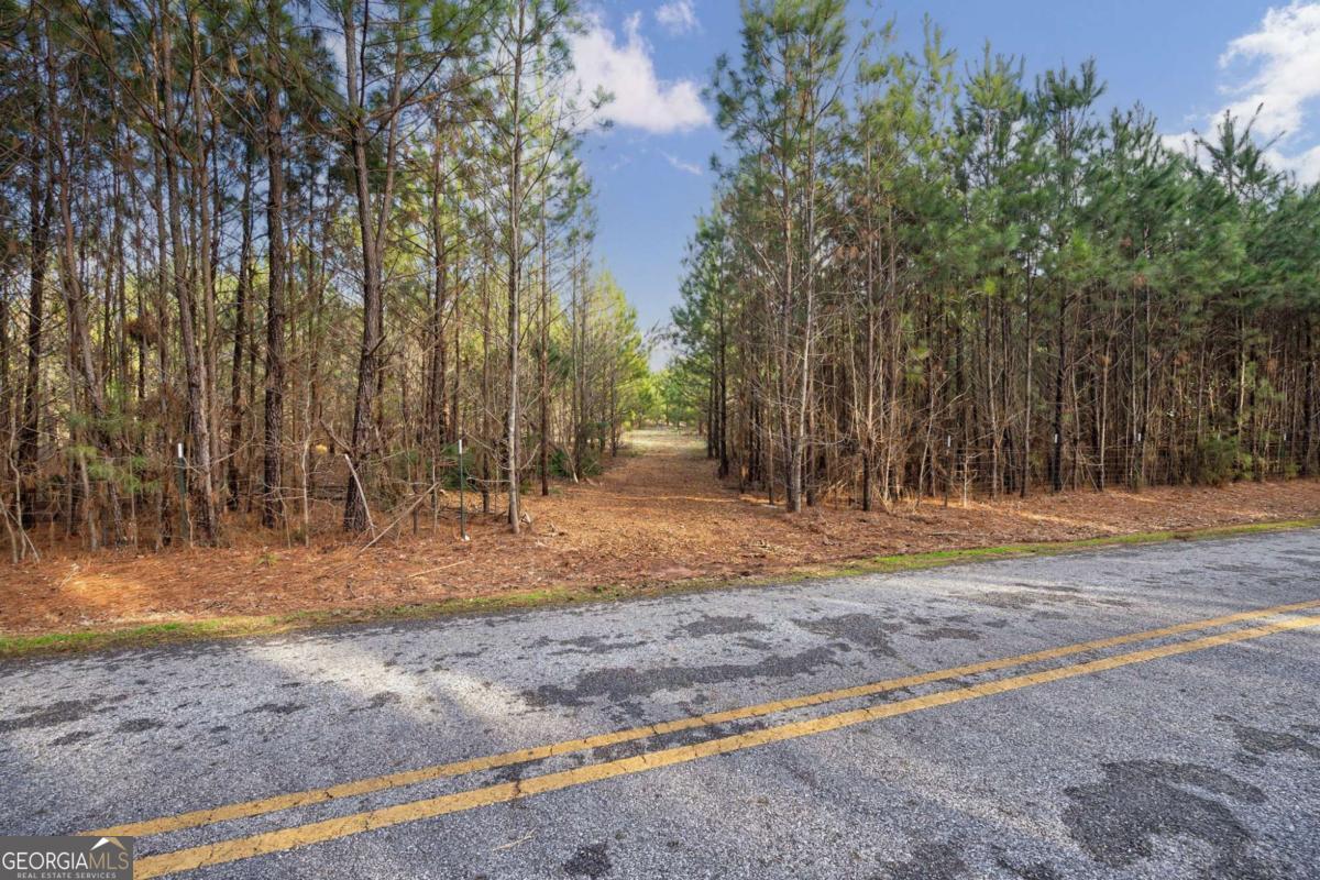 TRACT 1-B High Shoals Road Property Photo 1