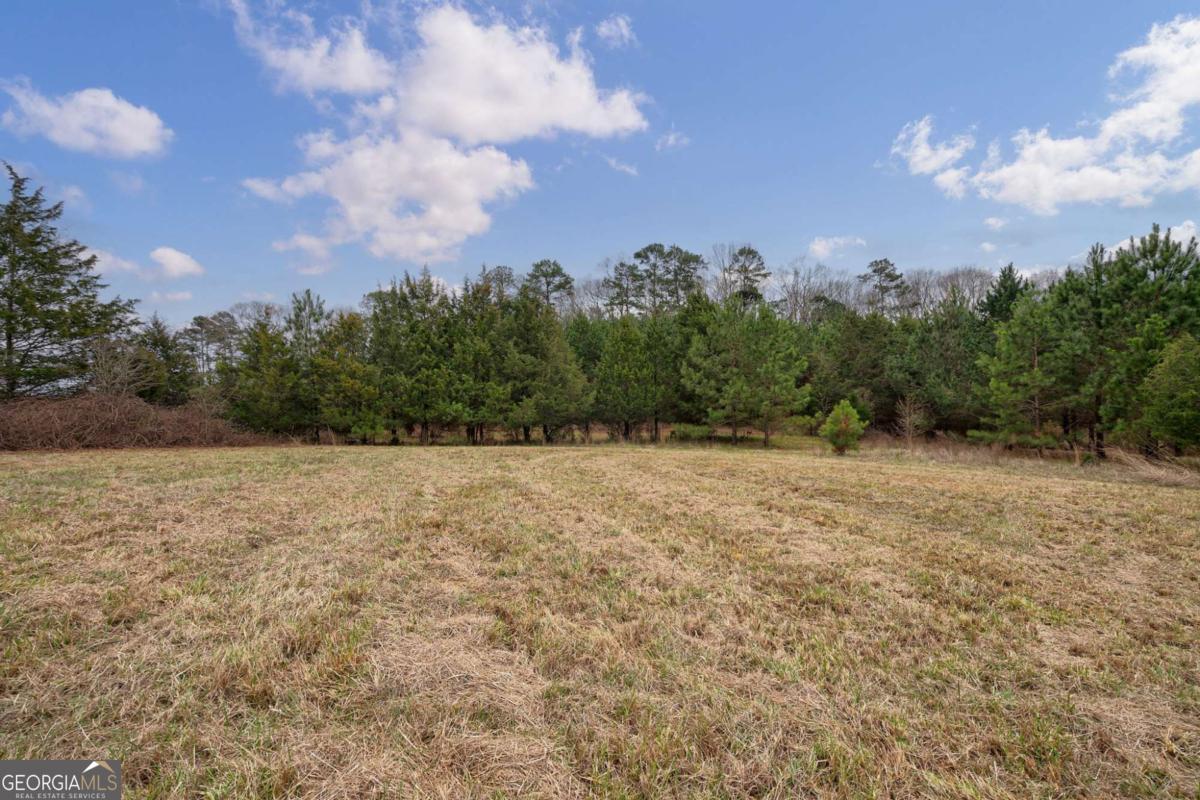 Tract 1-b High Shoals Road Property Photo 3