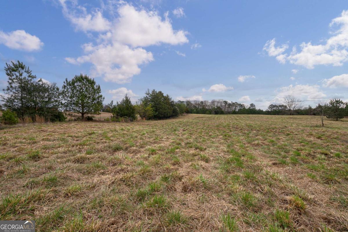 Tract 1-b High Shoals Road Property Photo 7