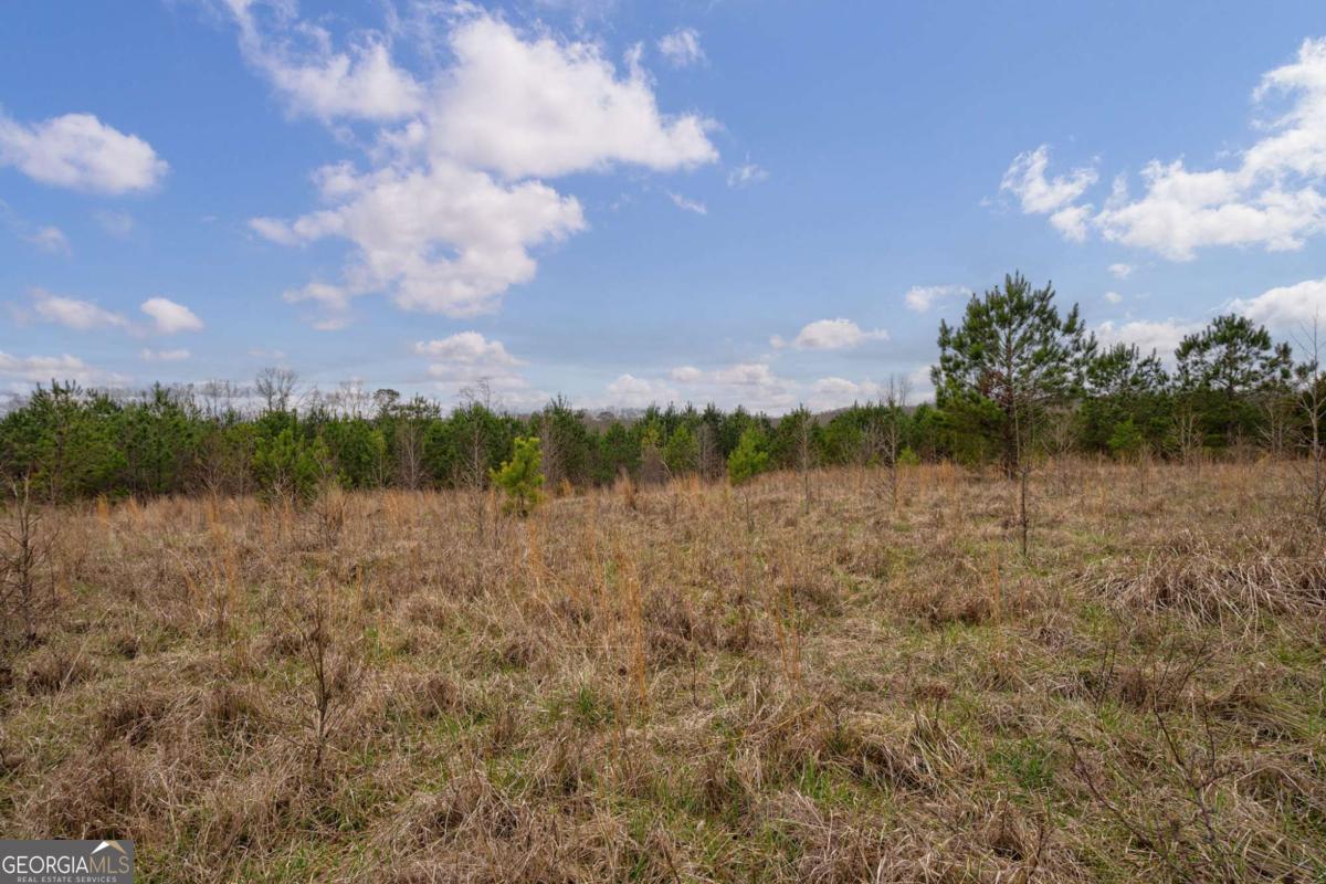 Tract 1-b High Shoals Road Property Photo 10