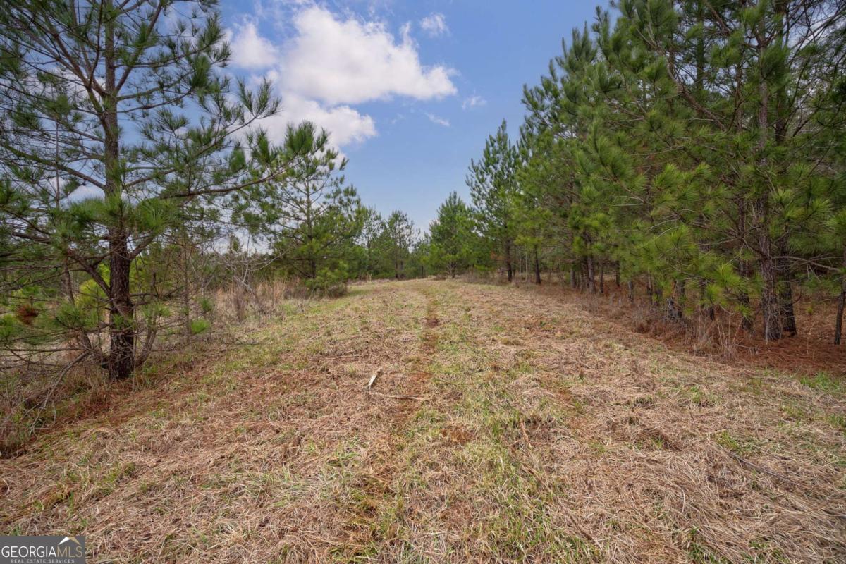 Tract 1-b High Shoals Road Property Photo 11