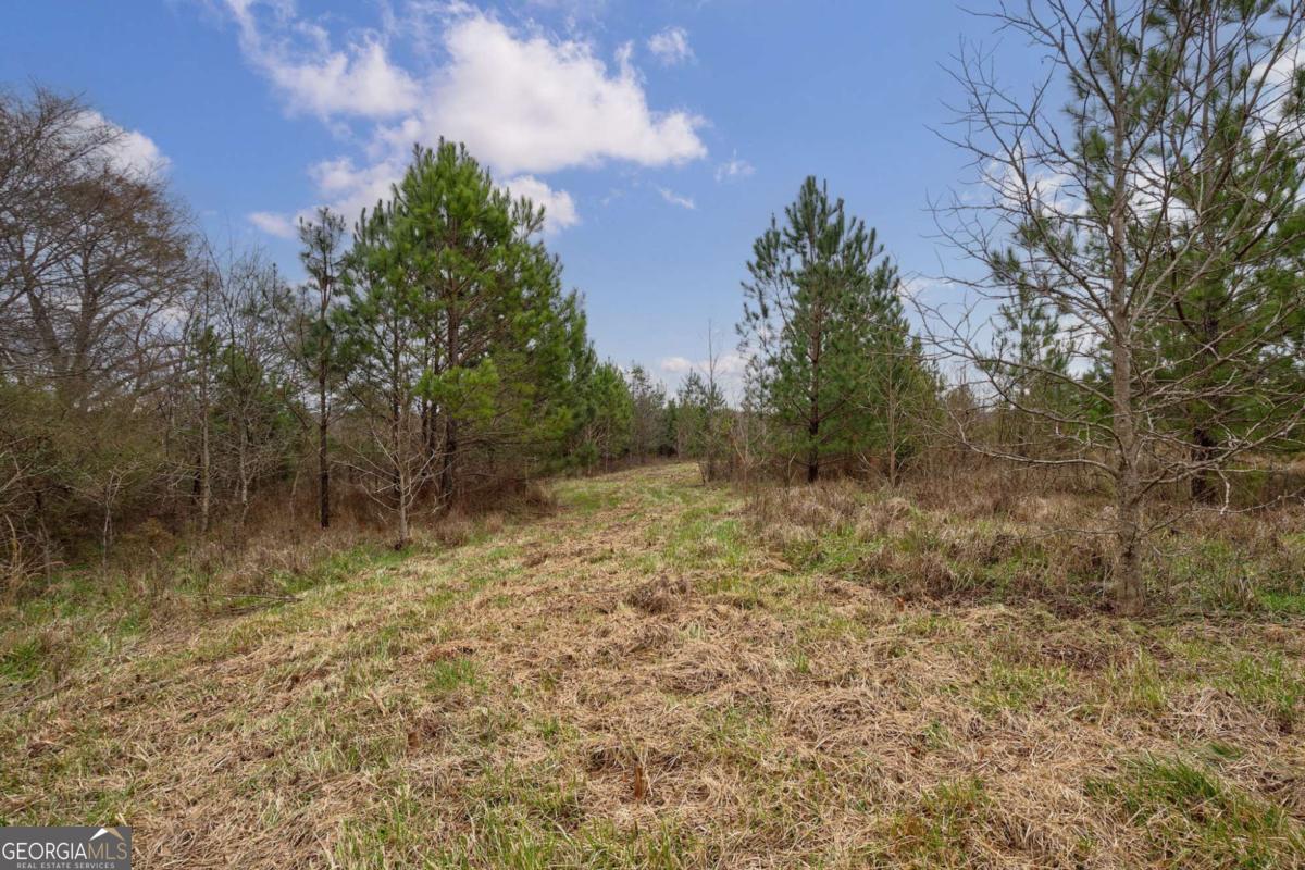 Tract 1-b High Shoals Road Property Photo 12