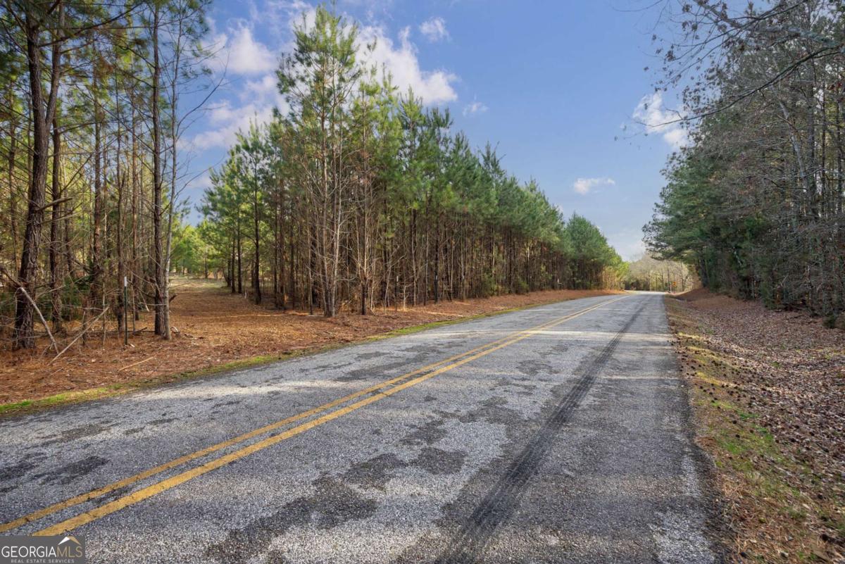 Tract 1-b High Shoals Road Property Photo 15