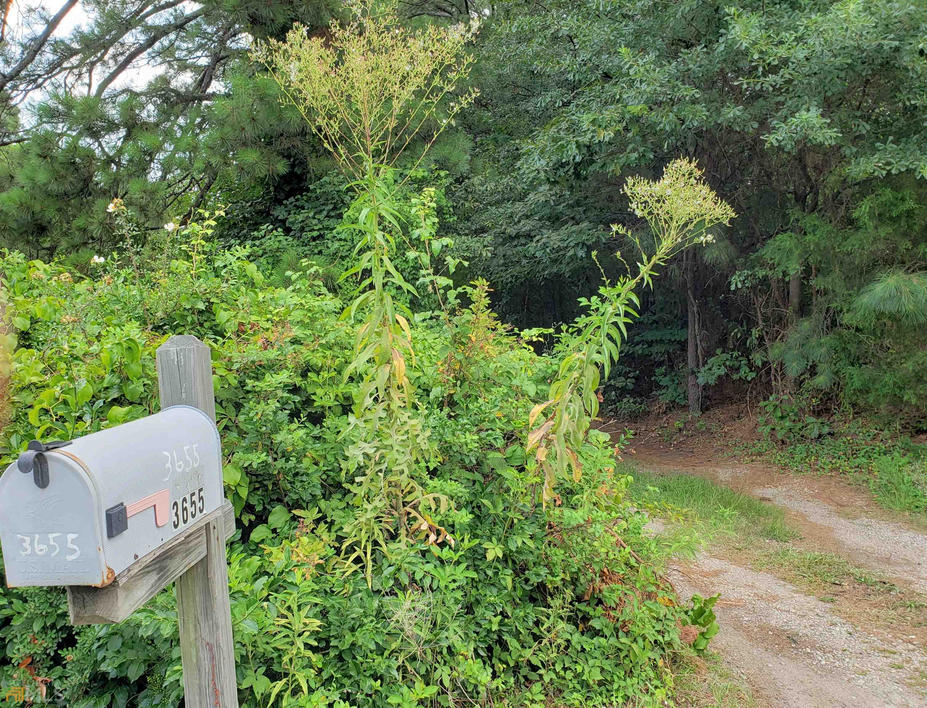 3655 Roosevelt Highway Property Photo 1
