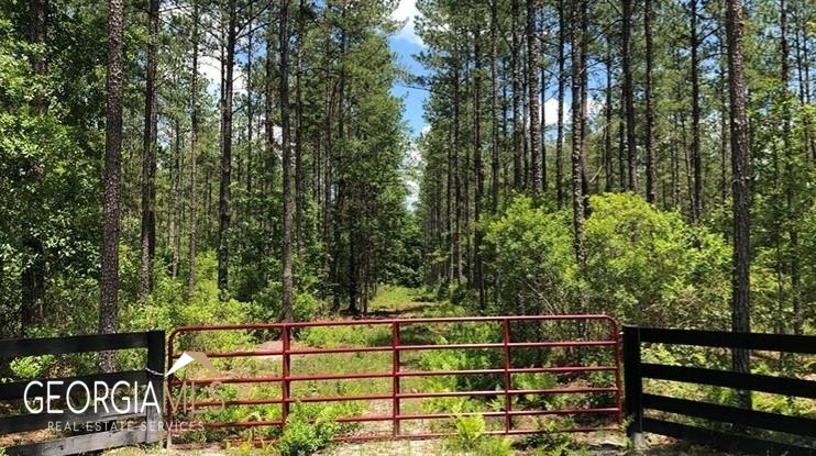 Lot 1 Baker Blvd/cr 4 Property Photo 3